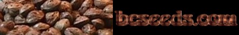 bcseeds.com