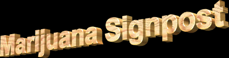 signpostbannerstill.gif (20023 bytes)
